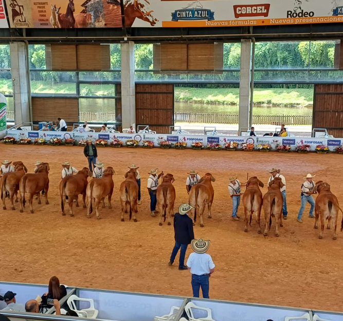 Éxito rotundo en la tercera Feria Internacional de las Flores de la Ganadería