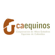 Caequinos